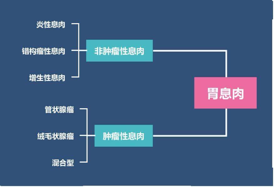 胃息肉，会变成胃癌吗？哪些需要切除？有没有办法预防？