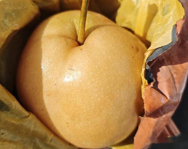 原创            立秋后养肺黄金期！必吃“三白两黄”，养好肺身体壮，秋冬少生病