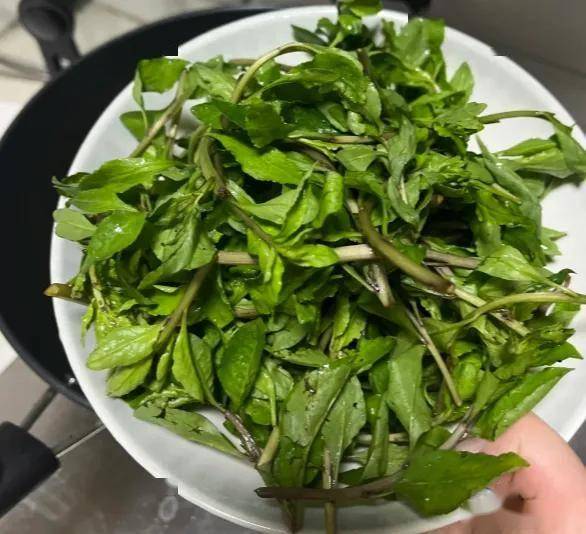 原创            “肝火旺，易失眠”！使劲吃这菜，清肝火助睡眠，鲜嫩别错过