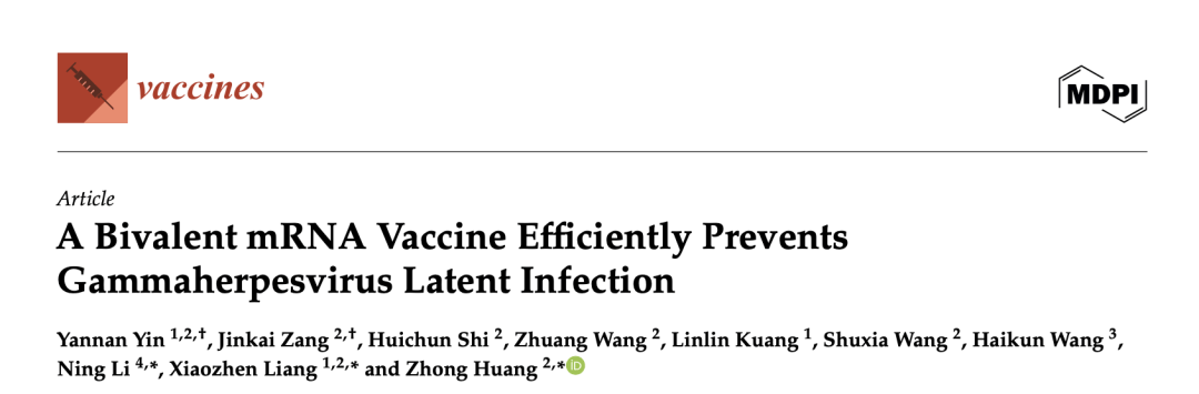 上海市重大传染病和生物安全研究院团队在γ型疱疹病毒疫苗研发中取得进展