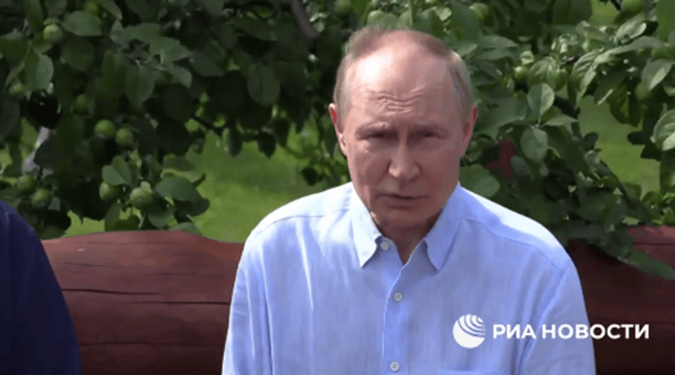 普京：如果有人对迄今俄乌和谈成果感到失望，那是因为“期望过高”