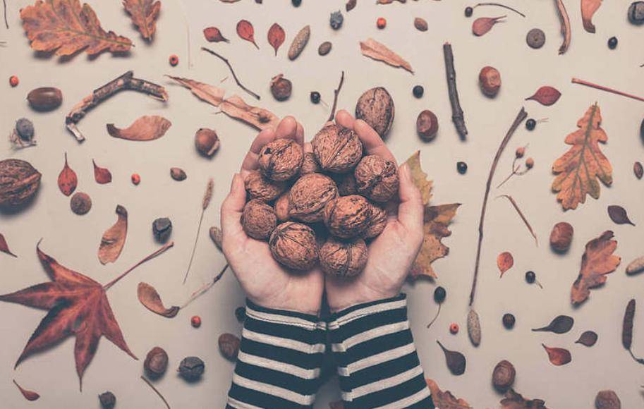 营养专家推荐“秋吃坚果”，每天一把有助护心