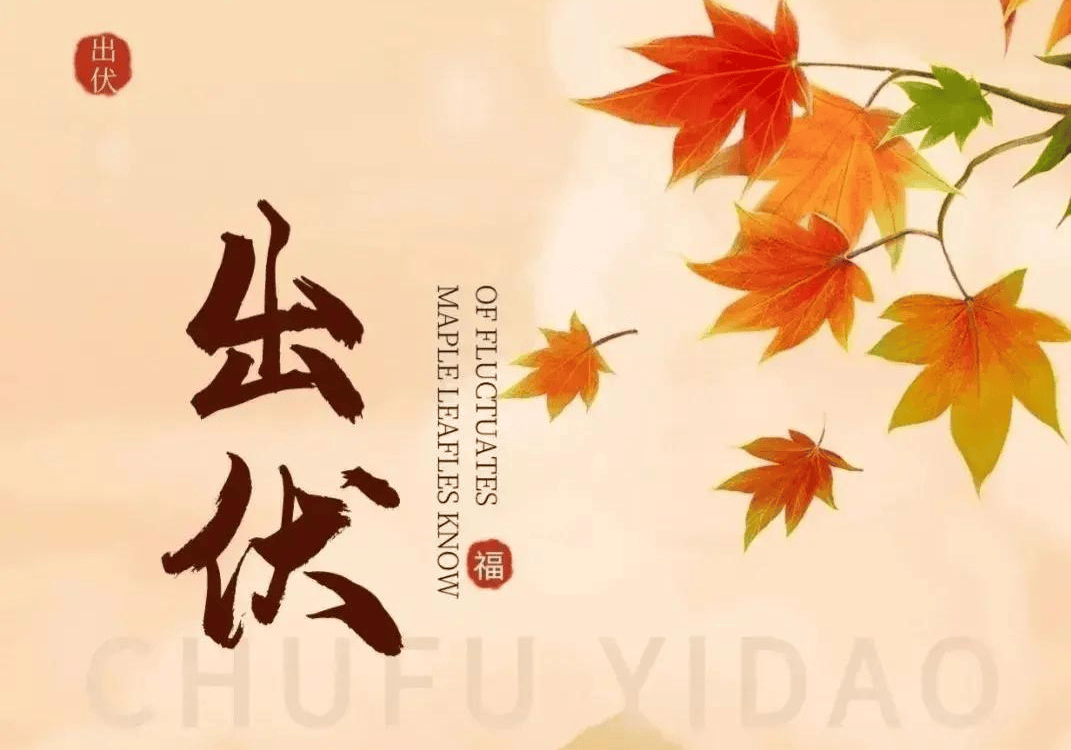 原创            明日出伏，牢记 “吃3样、防3样、忌3样”，调整饮食，安稳入秋不遭罪