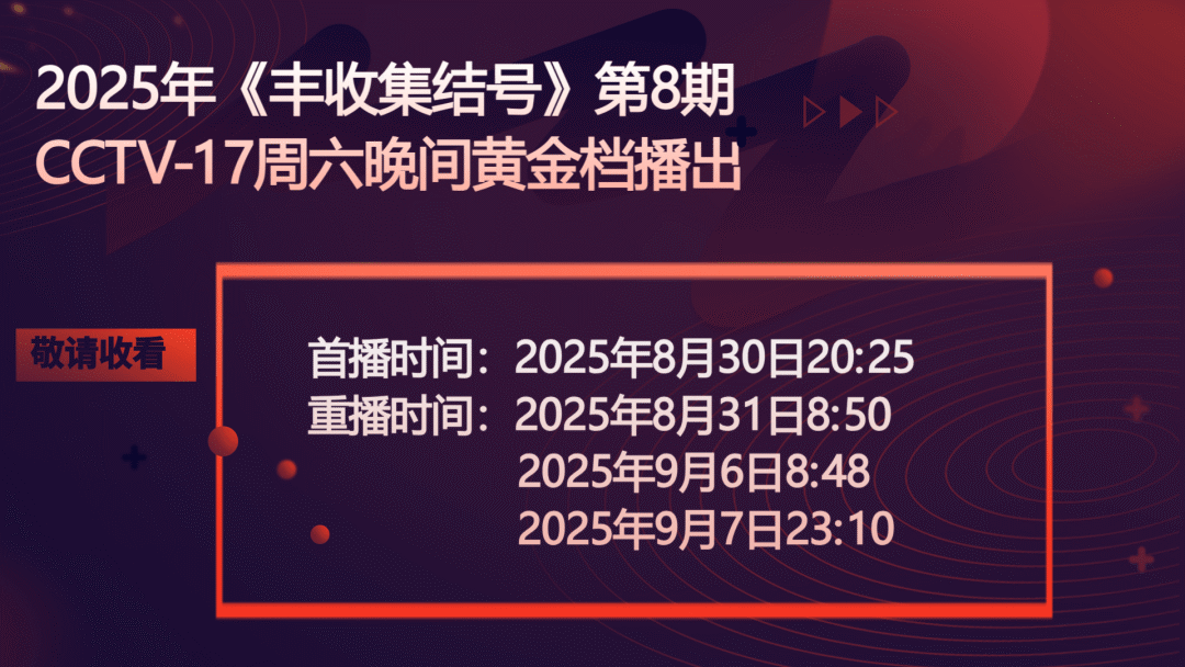 丰收集结号|下巴顶起啤酒筐， 水盆上复刻“凌波微步”，丰收达人把武侠照进现实