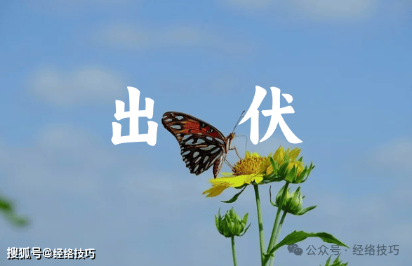 原创            出伏后，留意身体这些不适