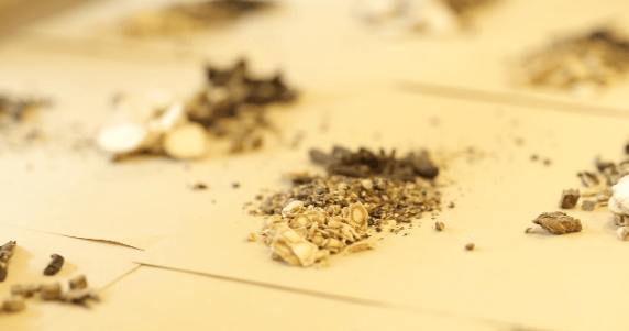 特发性震颤与本草震颤汤：饮食误区与健康烹饪指南