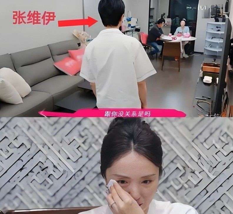 原创            董璇新综艺定档，张维伊相处画面曝光，大家的担忧其实多余