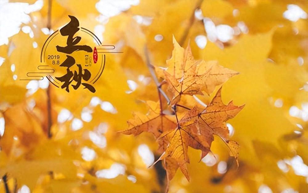 原创            8月7日立秋，牢记“三吃三养三防”，顺季节调整，为入秋打好基础