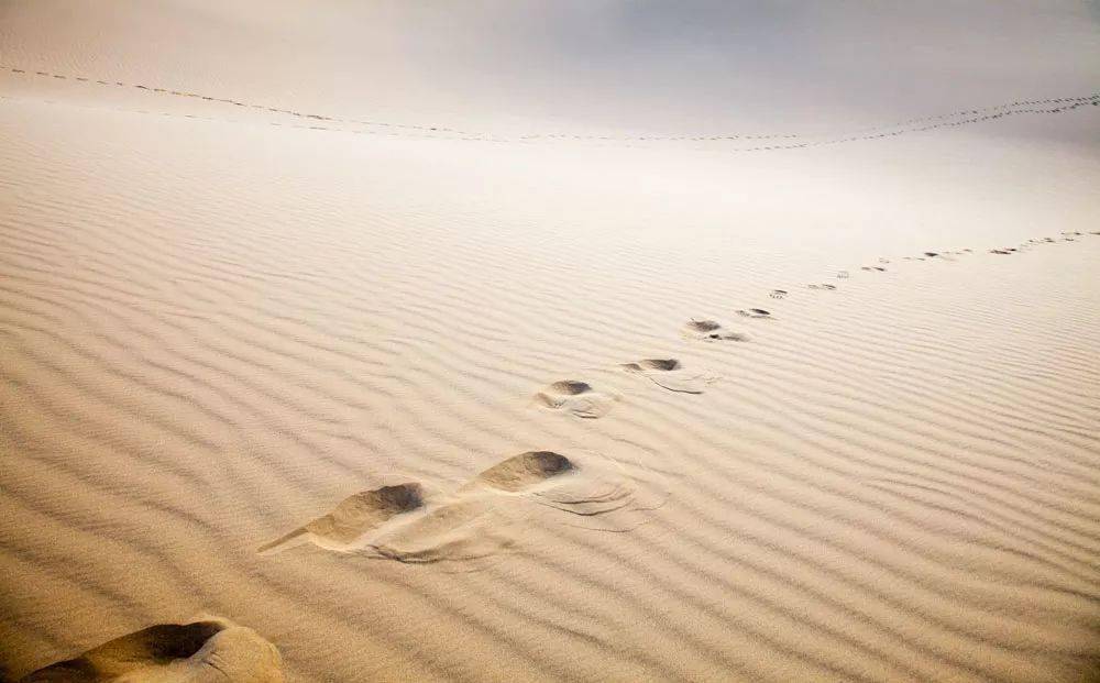 过度分享，跟创伤有关