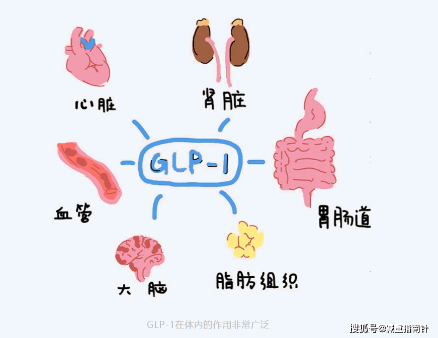 每周一针就能瘦？揭秘“减肥神药”的真相