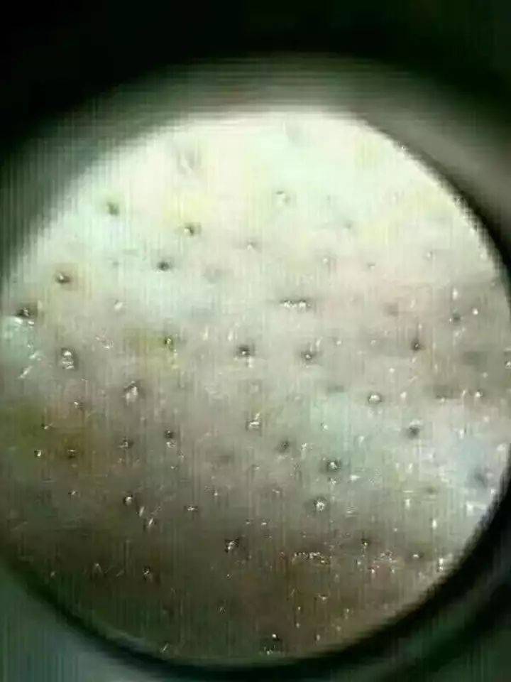 朋友圈精选：你已经过了饿两顿就能瘦的年龄了