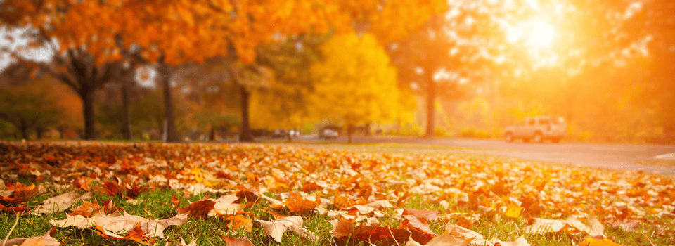 立秋后气温忽冷忽热，高血压人群这样做，稳稳守住血压