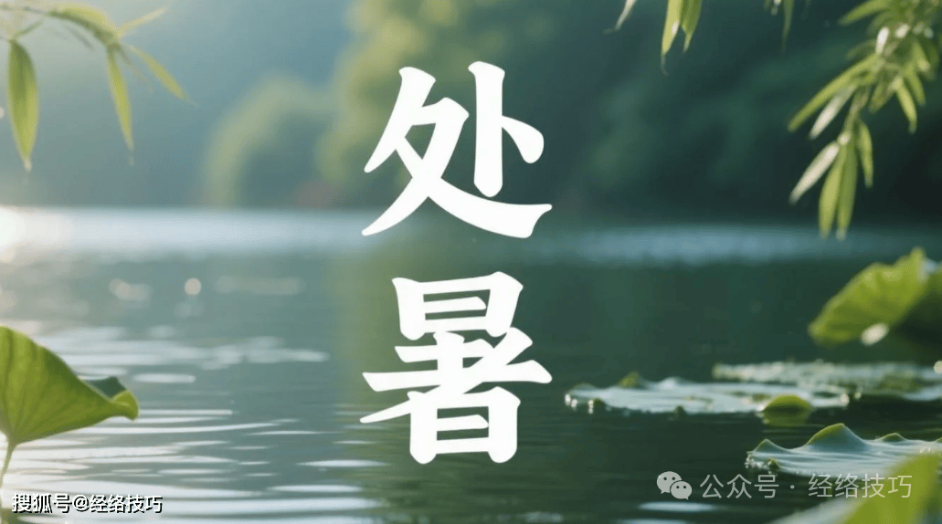 原创            处暑交节气候杂，调养身体这样做