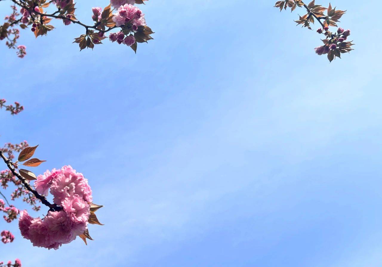 原创            男人背叛了，真心悔改的3个表现，妻子要看明白