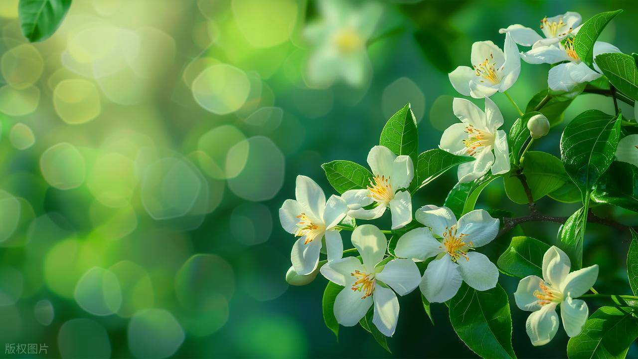 男人很爱你，一生忠诚你，会有的表现，占一条都是真爱