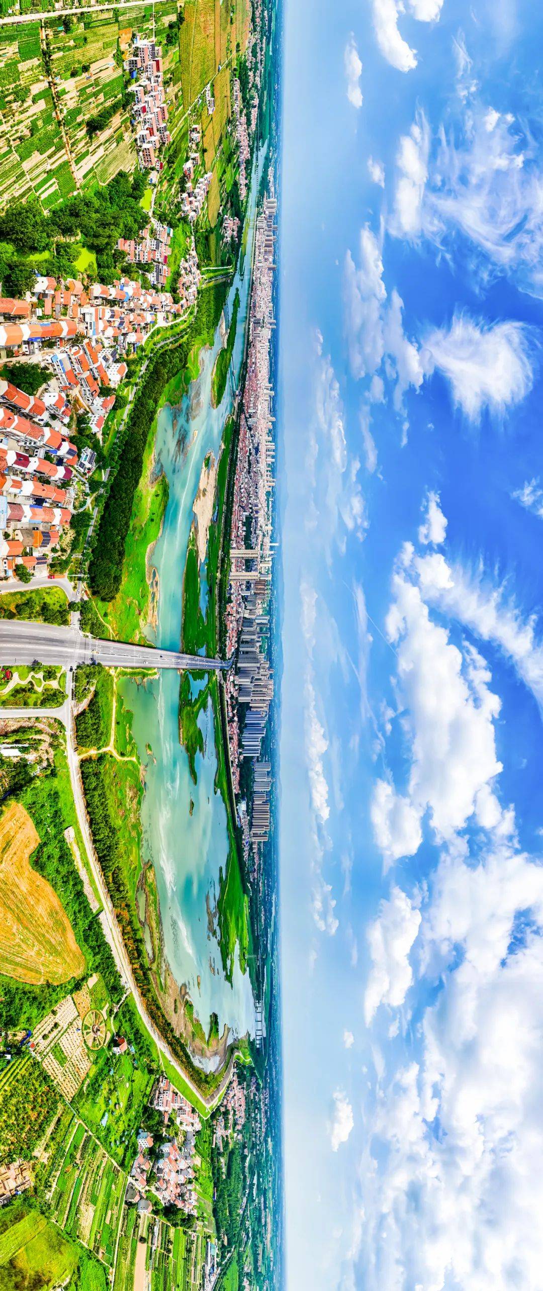 一起走进新洲的“油画世界”～