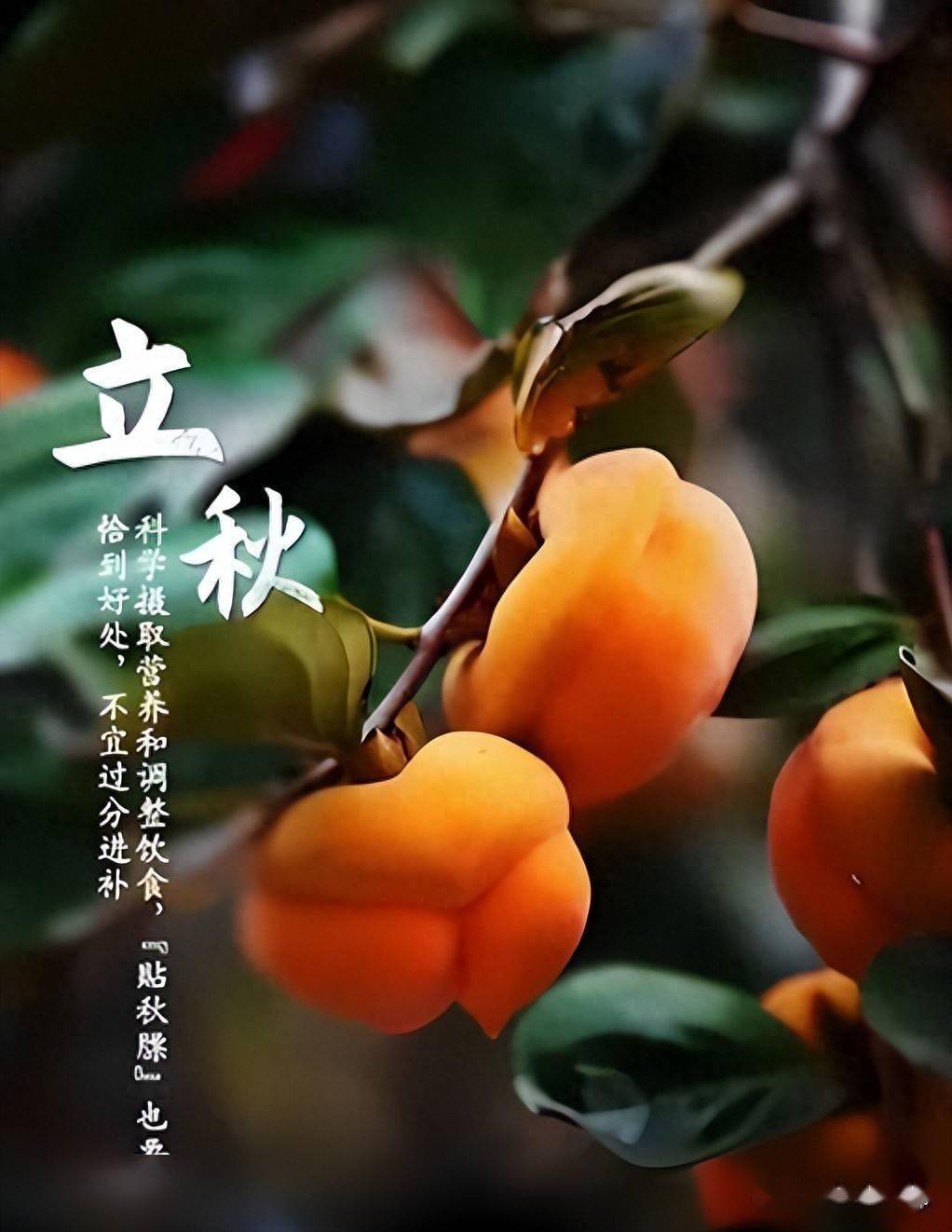 今年立秋不一般，建议“咬秋”，多吃这4宝，家人都受益