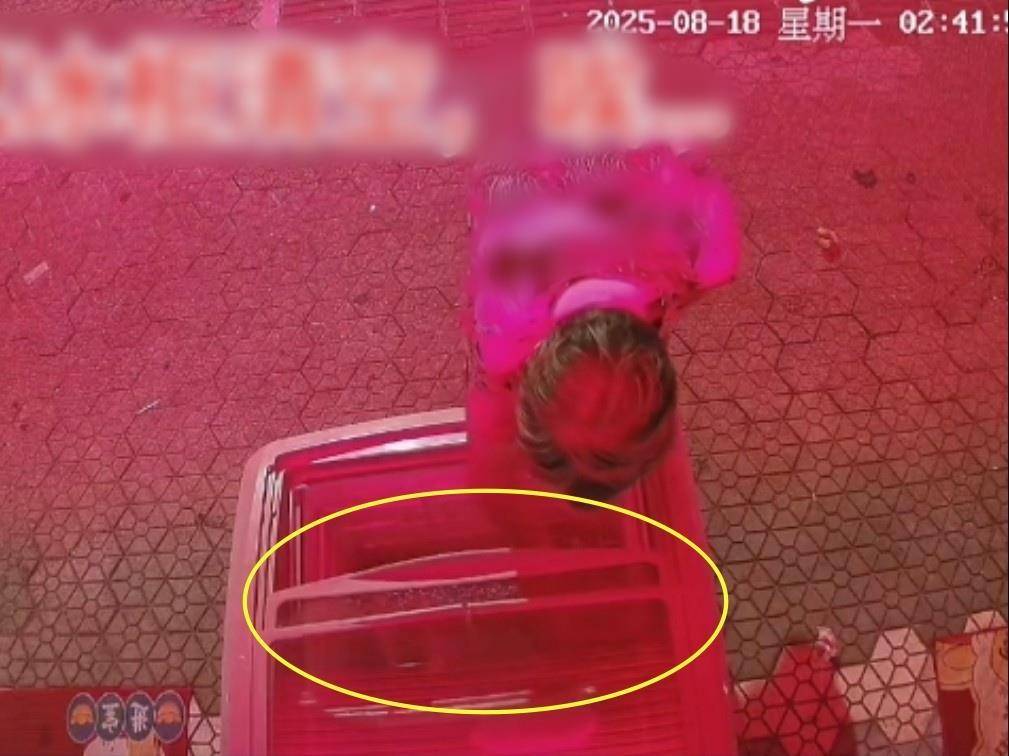 湖州一老太每天凌晨拿光爱心冰柜的冰棍？当地：是拿了几根，店主决定不追究