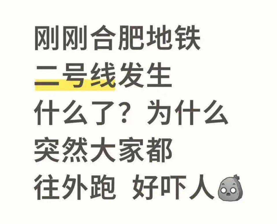 安徽合肥一男子在地铁上大声吼叫致乘客四处逃跑？地铁客服：公安部门正在调查处理