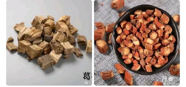 “葛根+丹参”治疗糖尿病的妙用