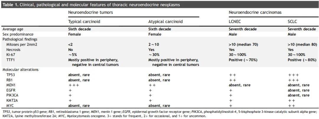 小细胞肺癌和大细胞神经内分泌癌的诊断和治疗进展