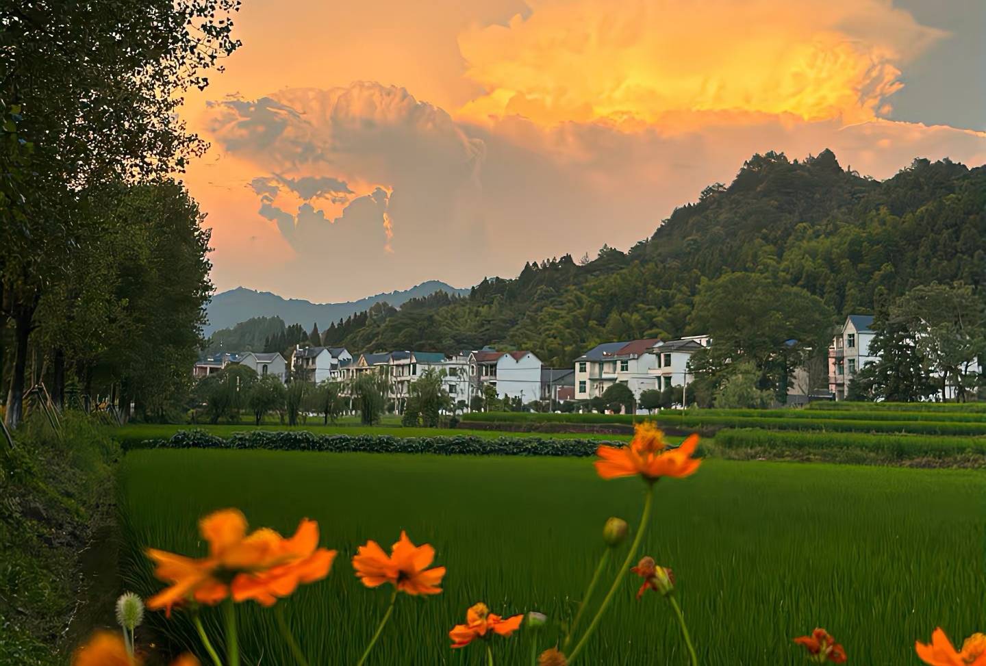 梅杰综合征，这病治到最后，落脚点在肝肾上，只学三阳是治不好这病的！