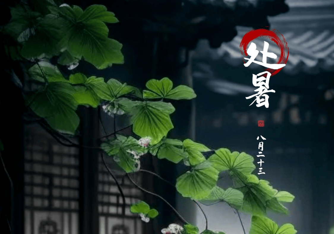 原创            处暑将至，牢记“4不做，3不吃”，家人少生病，平安过秋天