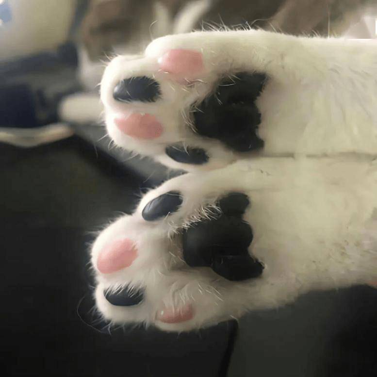 睡觉时把脚露在外面好不好？你有这个习惯吗？