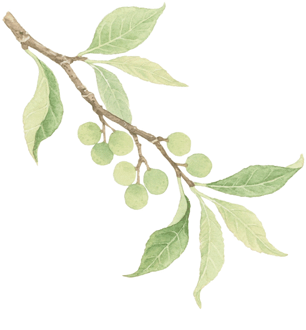 来太原这里，看毕加索真迹！