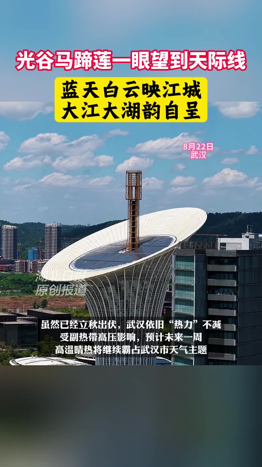 光谷马蹄莲一眼望到城市天际线