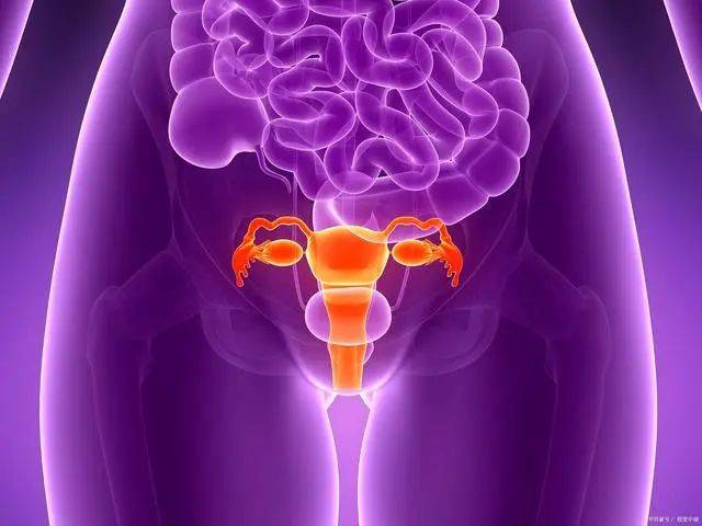 科普！什么是黄体？黄体为什么会破裂？这有什么危害呢？