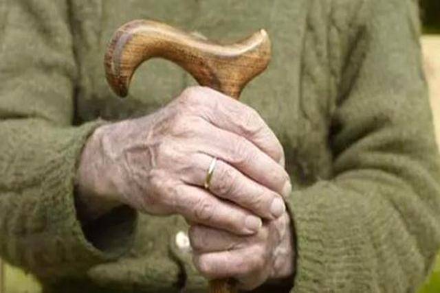 老年人更需要足够的优质蛋白来维持正常生理机能和健康