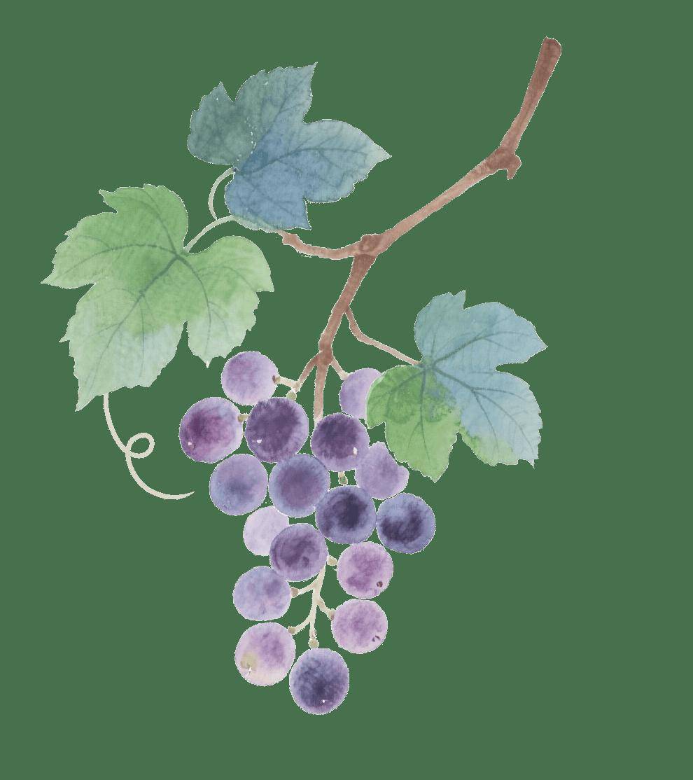 【朝医科普】生长发育暑期系列：用眼习惯与身高发育的隐藏关联