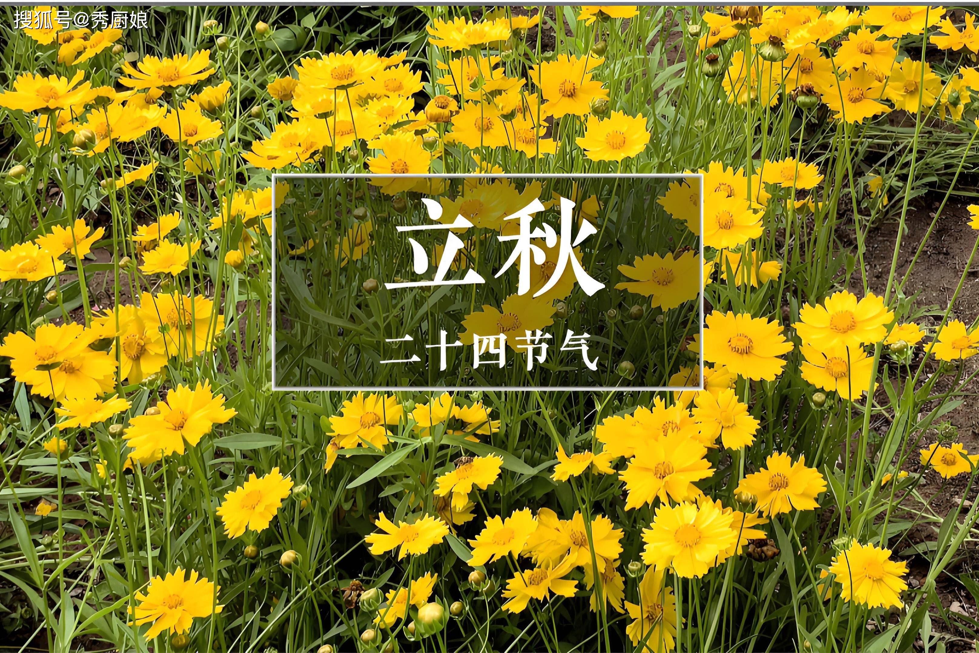 原创            “立秋吃3宝，入冬不穿袄”，防燥又润肺，赶走“秋老虎”一身轻