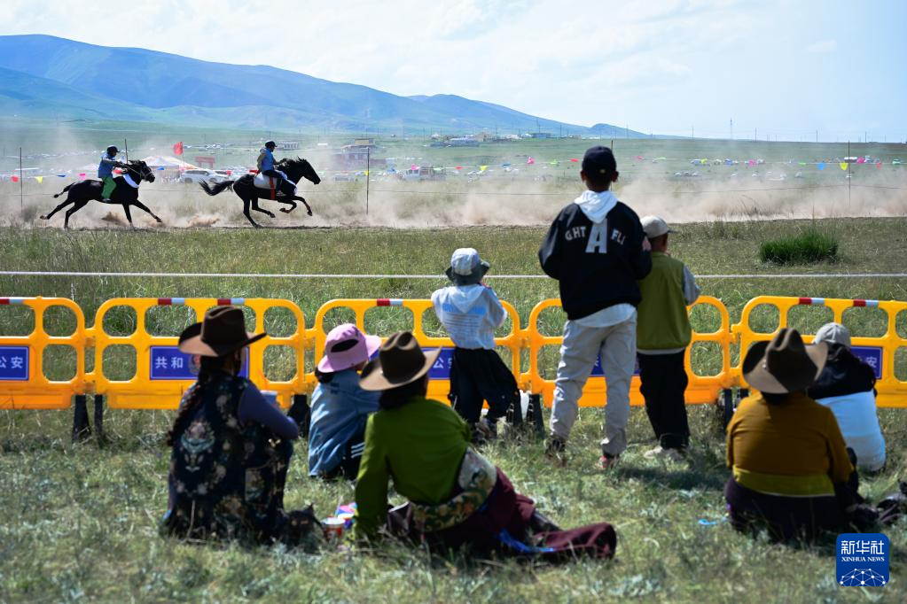 青海湖畔的草原盛会