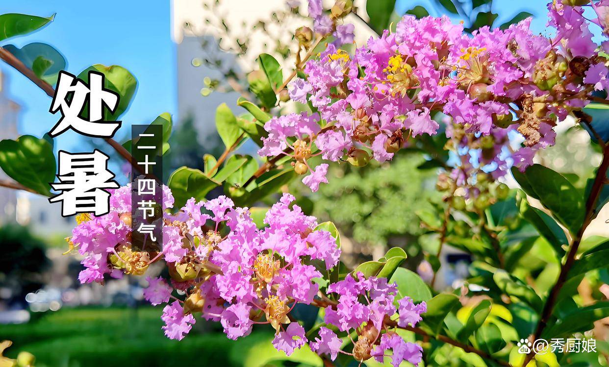 中佰康：“处暑吃3宝，不往医院跑”咋吃更受益？