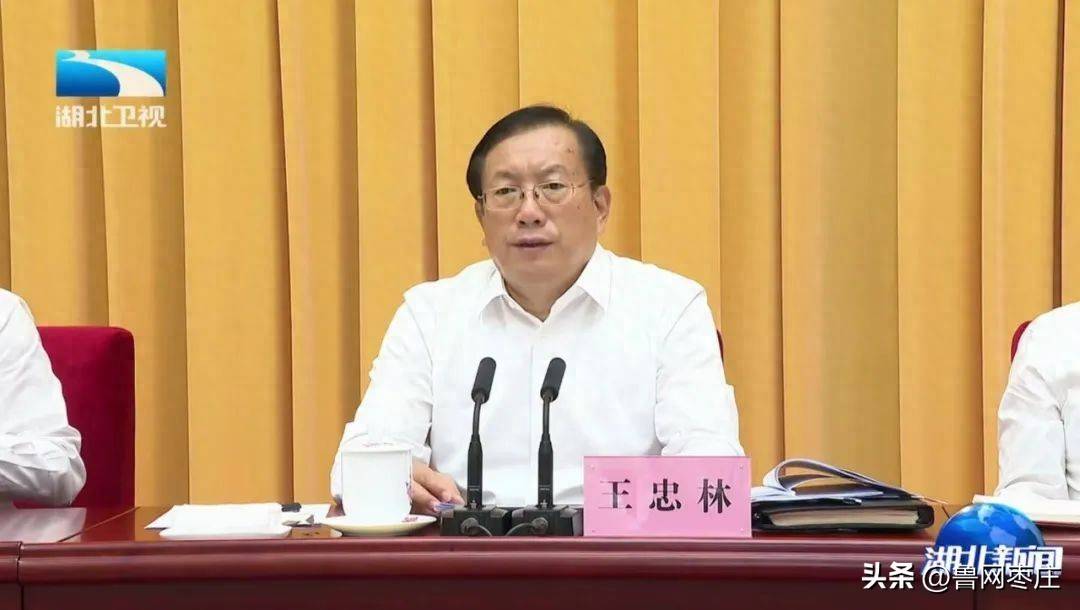 湖北省委书记王忠林：严查贪污侵占、截留挪用、虚报冒领、吃拿卡要等腐败问题