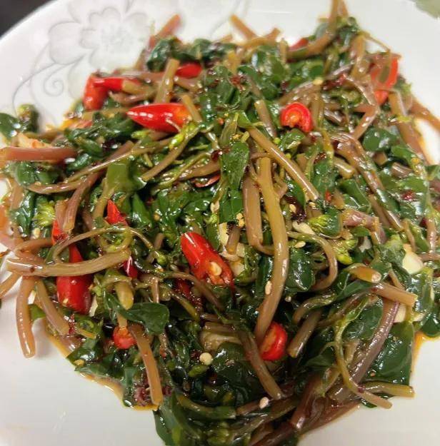 原创            末伏是排毒黄金期，多吃5道“排毒菜”，排除湿毒，健康度秋