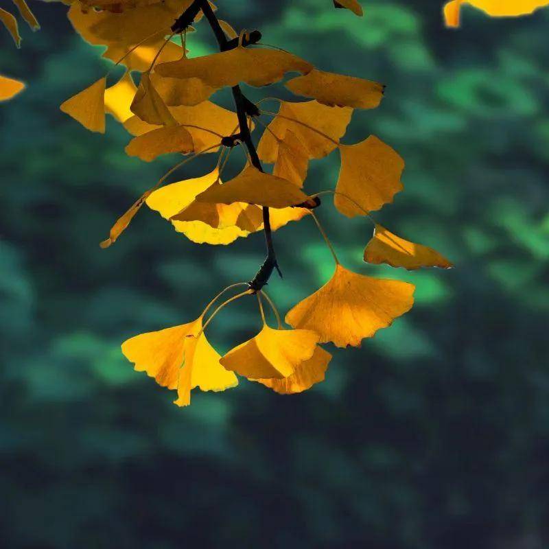 人生不能争强好胜