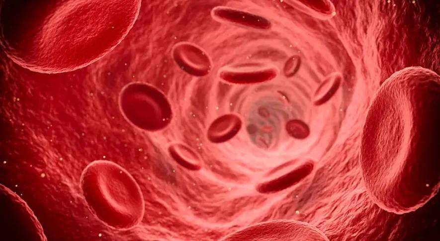 帕金森病患者万万没想到！夜间穿袜子睡觉竟能促进血液循环