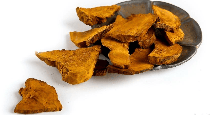 桑黄抗衰老的科学原理探究