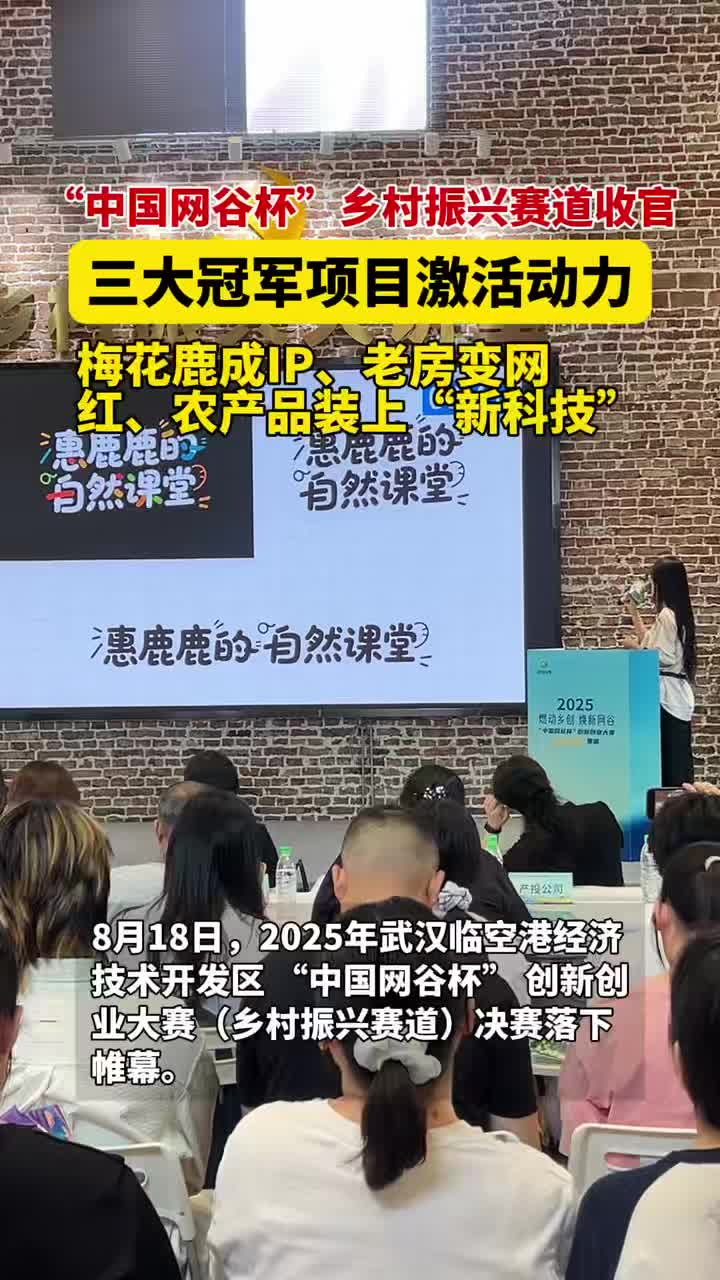 “中国网谷杯”乡村振兴赛道收官 创意与技术共绘东西湖乡村新图景