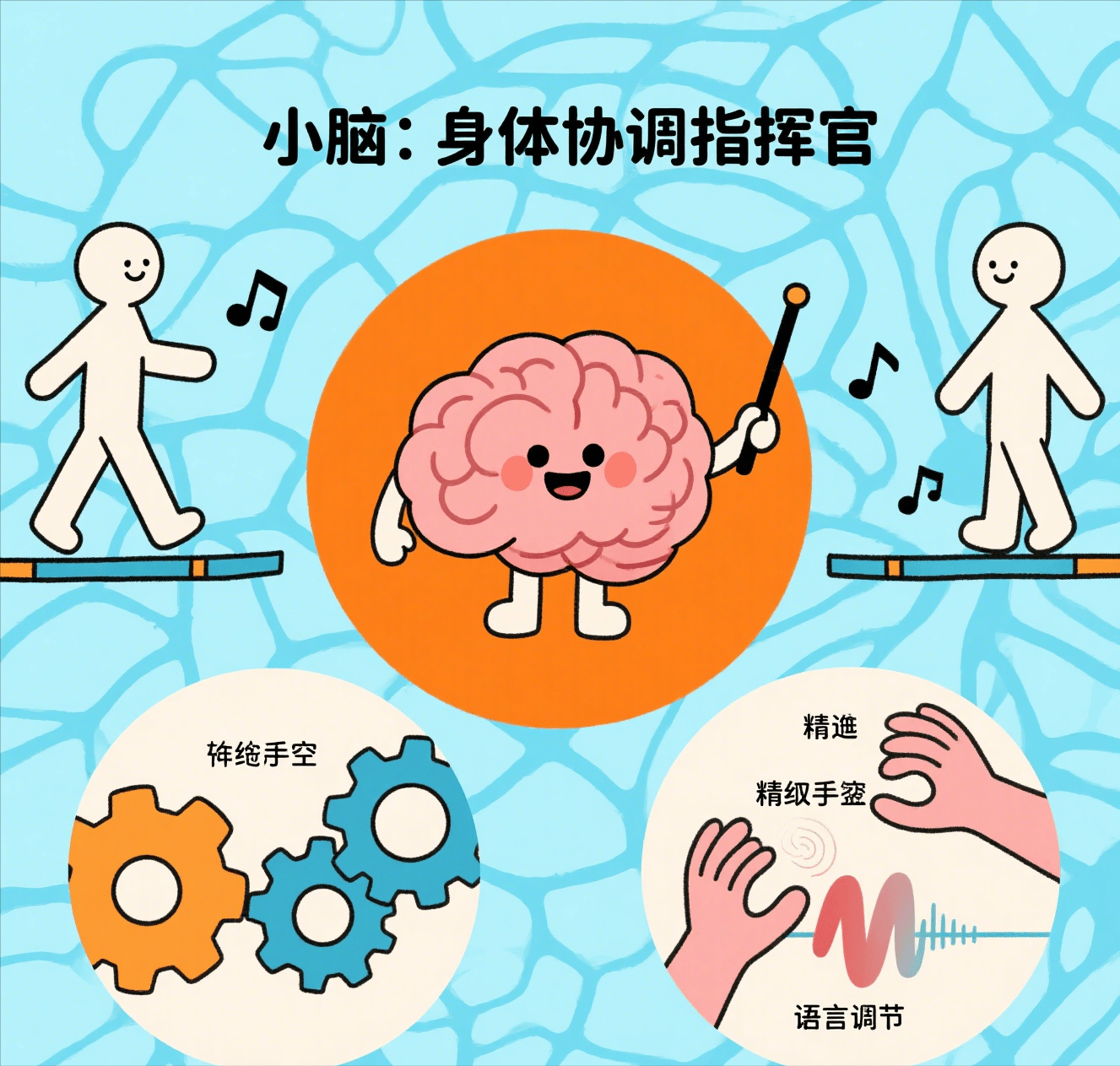 小脑萎缩：别把 “手脚笨” 当衰老，这些信号要警惕