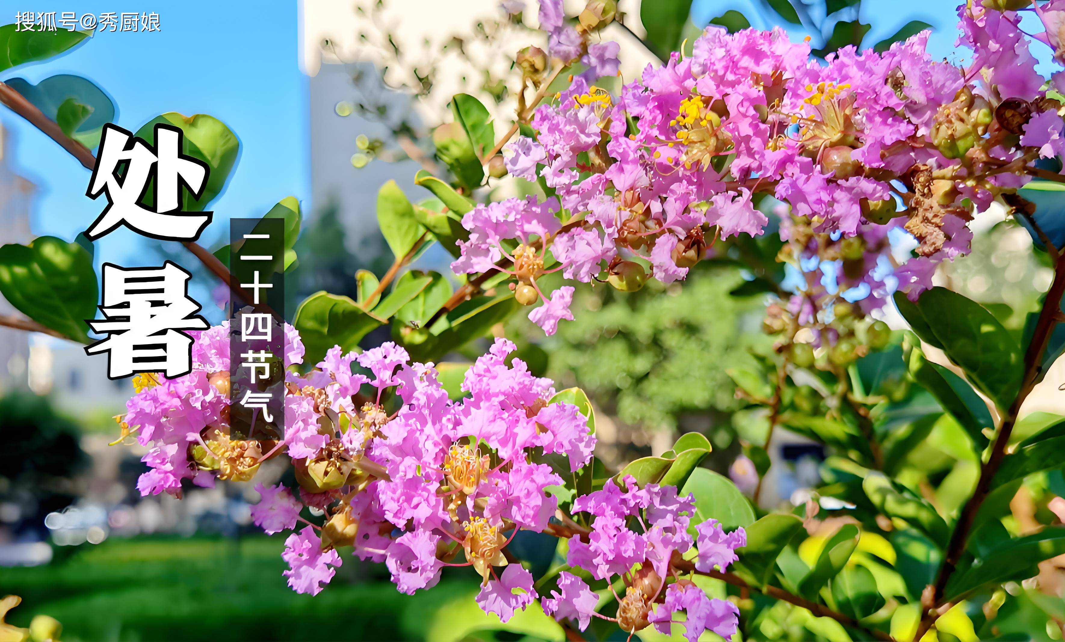 原创            明日处暑，老人说：处暑吃3宝，不往医院跑，3宝指啥？咋吃更受益