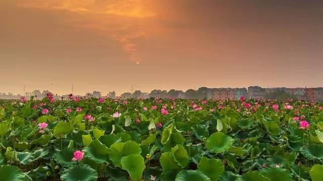 抑郁的悖论：当你停止对抗黑暗，光才照得进来