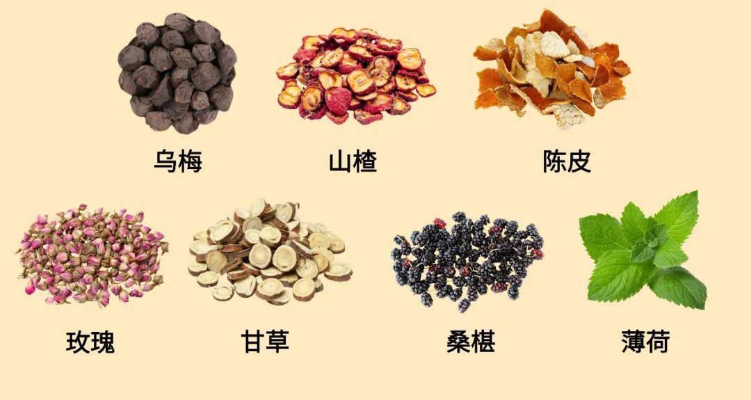 秋天的第一杯“健康茶”：中药房特调，喝出秋日元气