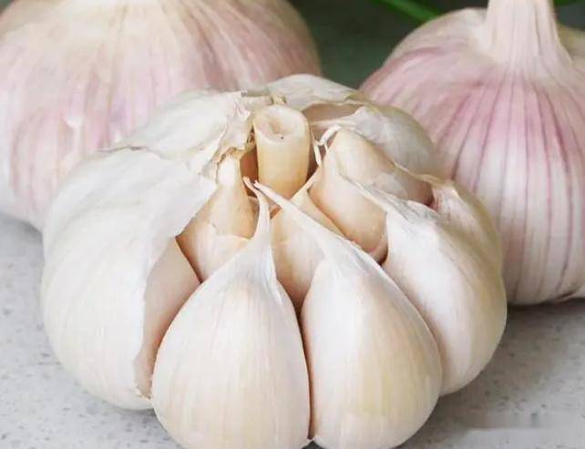 原创            立秋后多吃3种“天然杀菌菜”，提高免疫力，秋冬少生病，身体棒