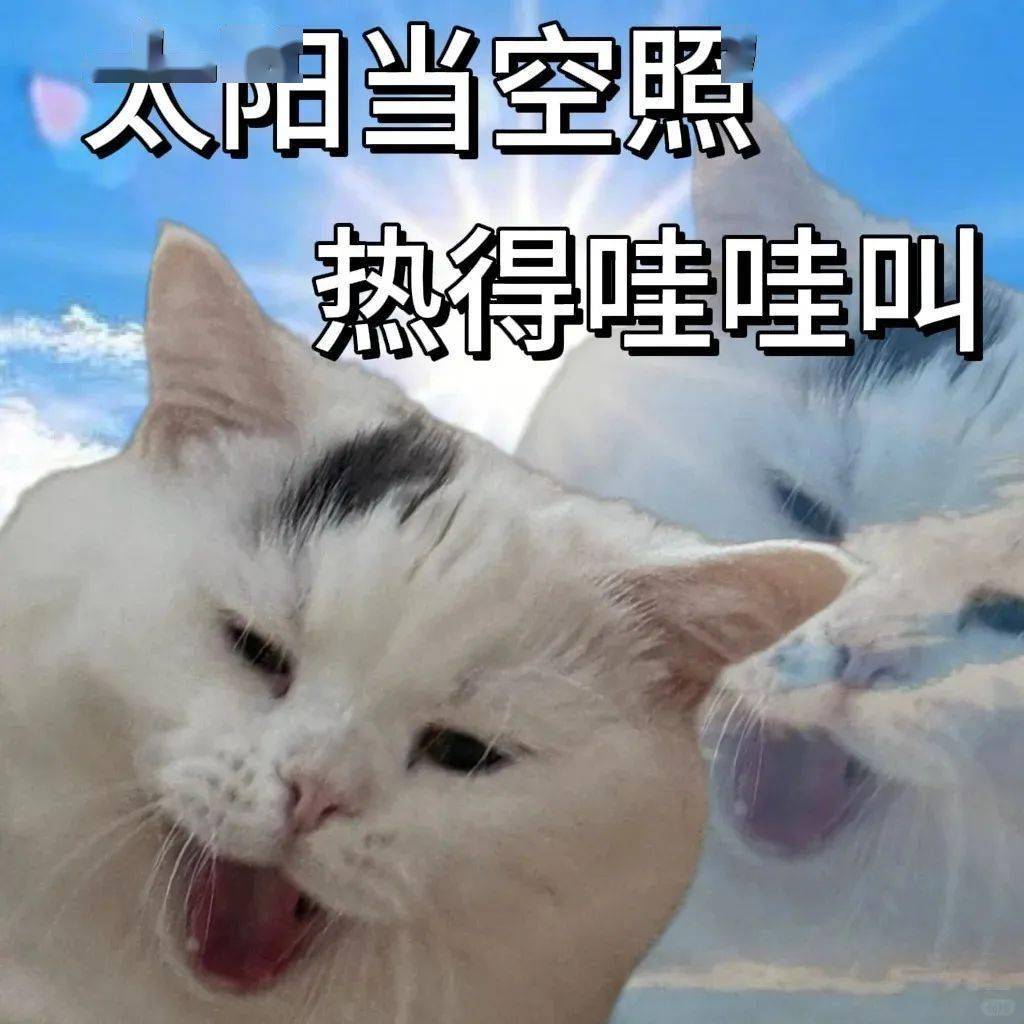 娃游泳完“发烧+红眼+喉咙痛”，这个病毒是什么？