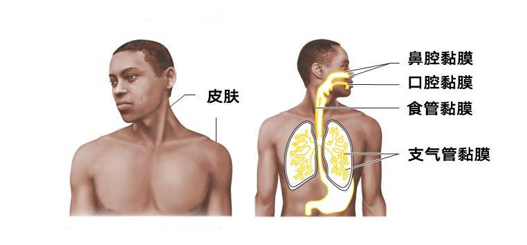 发现身上长息肉，离癌症还有多远？
