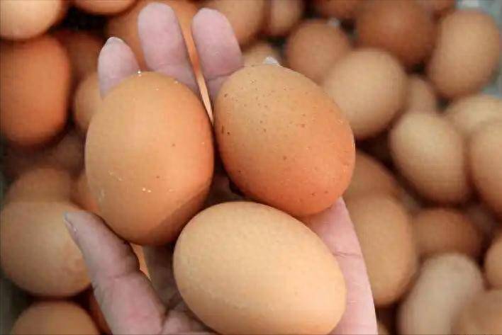 长期吃抗凝药不能碰鸡蛋？医生：不只是鸡蛋，3物再馋也要撤下桌